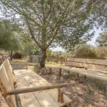 Casaleja, Entre Arboles Y Agua * Jerez de la Frontera